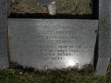 image of grave number 340622